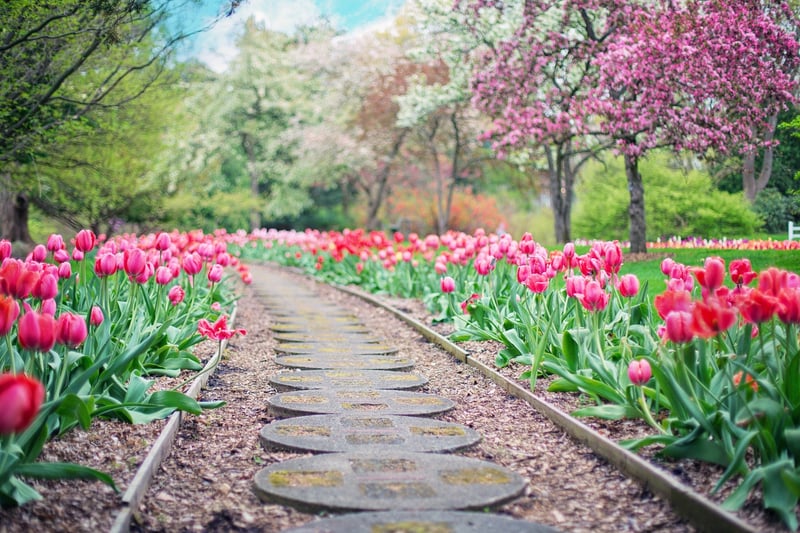 Whimsical Stepping Stones